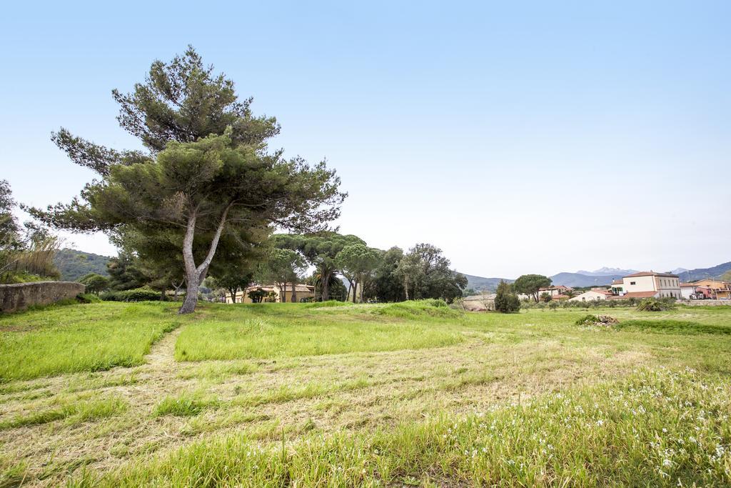 Appartamento Podere San Marco 费拉约港 外观 照片